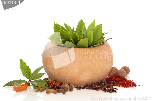 Image of Herb and Spice Selection