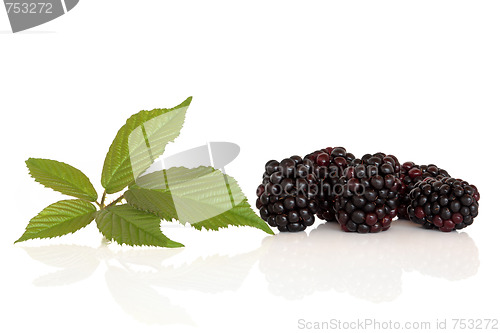 Image of Blackberry Fruit