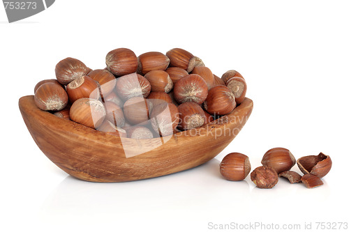 Image of Hazelnuts