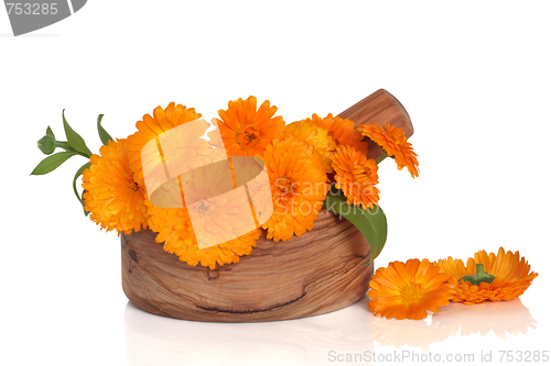 Image of Marigold Flowers