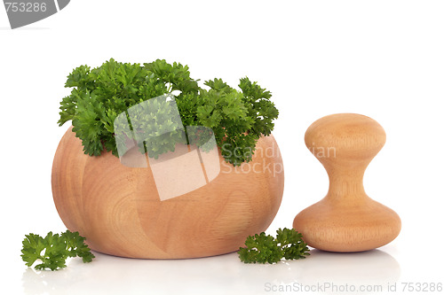 Image of Parsley Herb Leaves