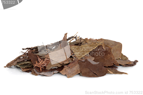 Image of Epimedium Herb