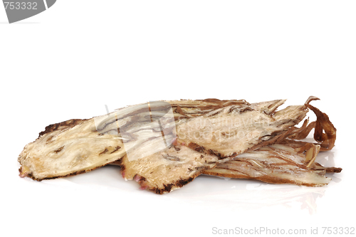 Image of Angelica Herb Root