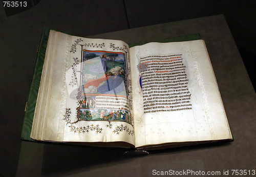 Image of Illuminated manuscript