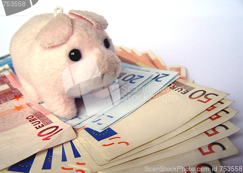 Image of Pig with money