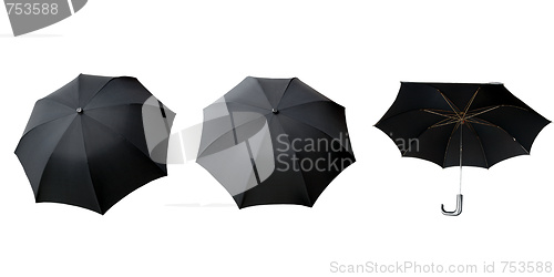 Image of Umbrella