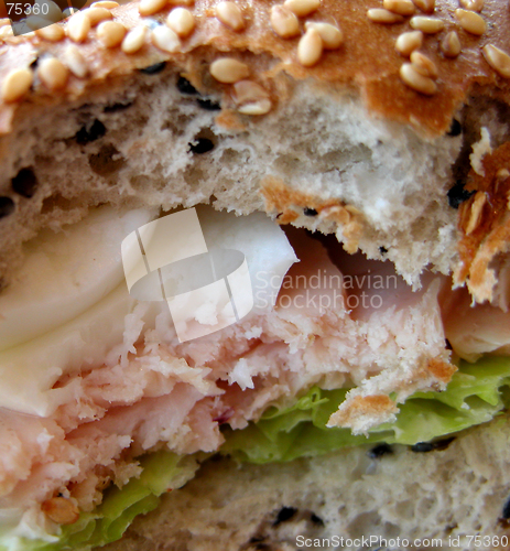 Image of Bitten Sandwich