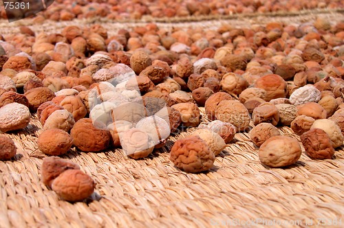 Image of Dried Fruits