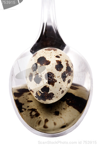 Image of quail egg in the spoon