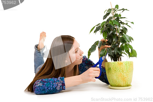 Image of Woman cuttion plant with blue scissors