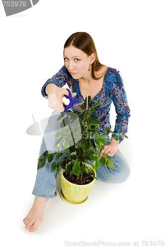 Image of Woman cutting plant with blue scissors