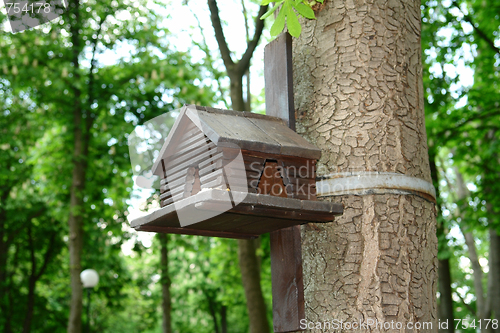 Image of birdhouse
