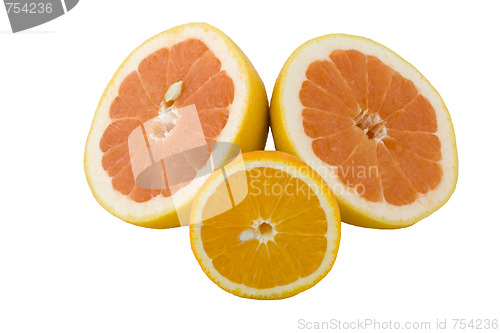 Image of grop of halfs of grapefruit and orange