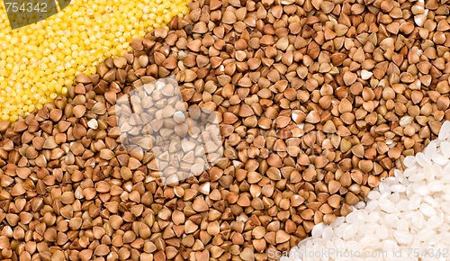 Image of Millet, buckwheat, rice background