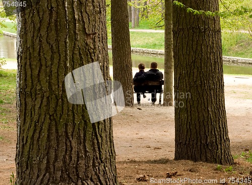 Image of Loving couple on a bench