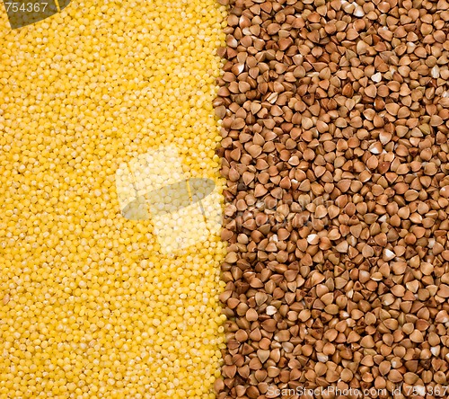 Image of Buckwheat and millet background