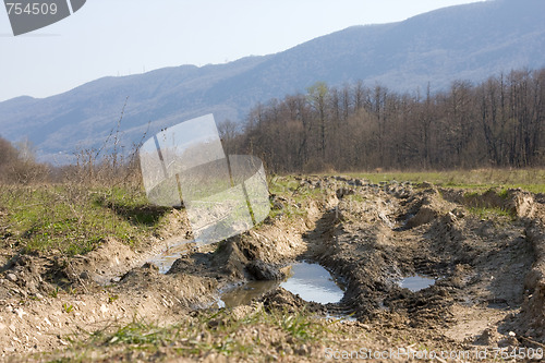 Image of Dirt forest road with big puddles