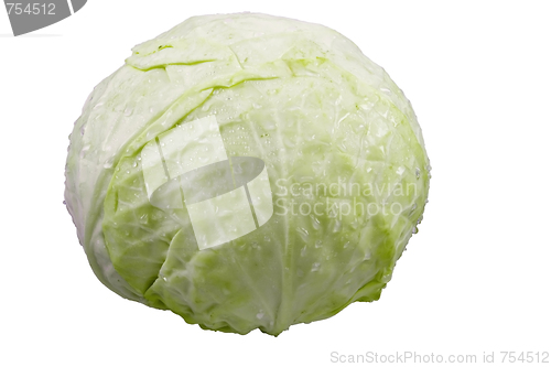 Image of cabbage(clipping path included)
