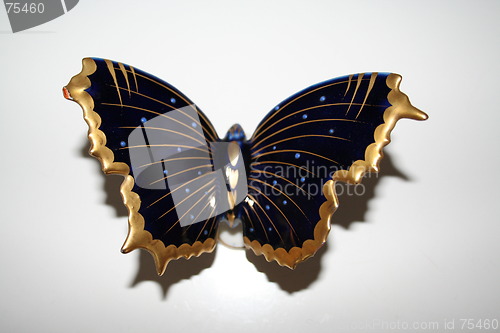 Image of Butterfly