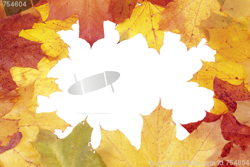 Image of Framework from maple leaves