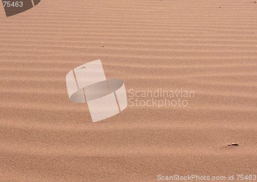 Image of Sand waves