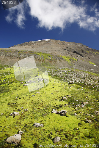 Image of Unspoiled mountain side