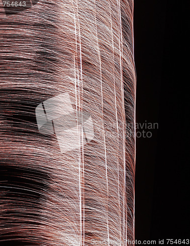 Image of Fireworks