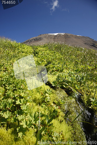 Image of mountain spring