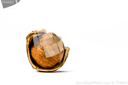 Image of Hazelnut on a white background