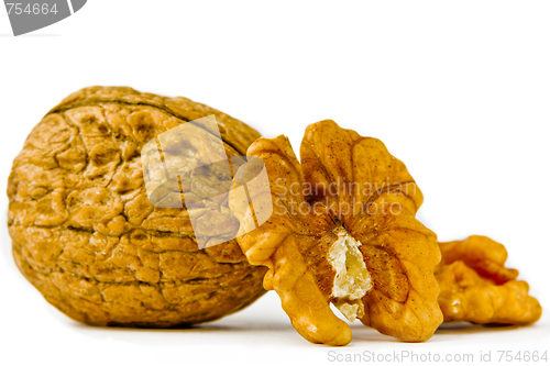 Image of Walnuts on a white background