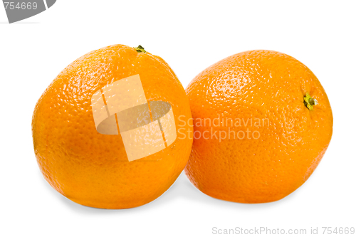 Image of Oranges on a white background