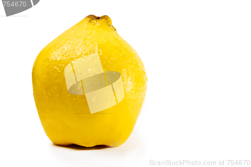 Image of Quince on a white background