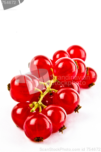 Image of Red currants on white background