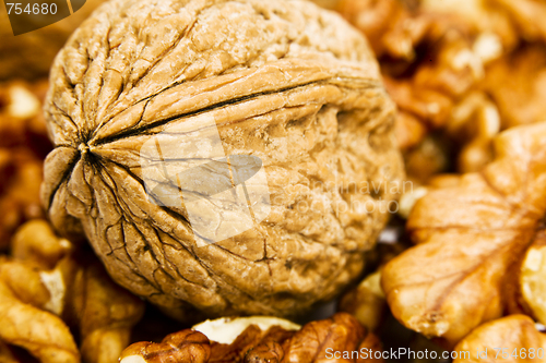 Image of Walnuts on a white background