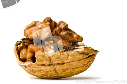 Image of Walnuts on a white background