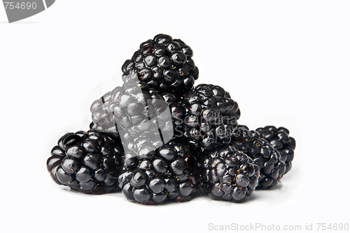 Image of Black berries on white background