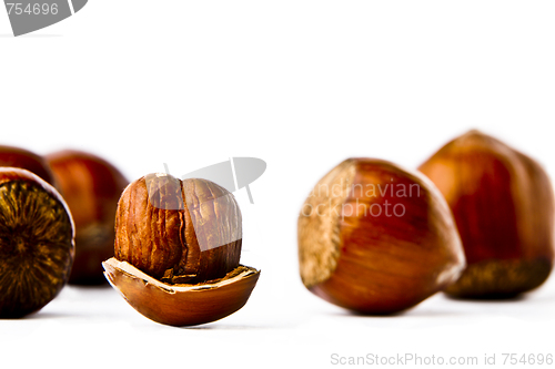 Image of Hazelnuts on a white background