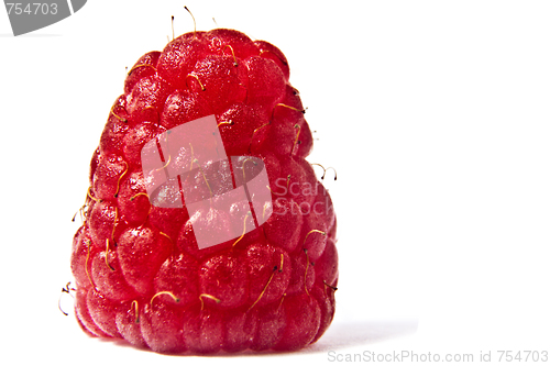 Image of Raspberries on a white background