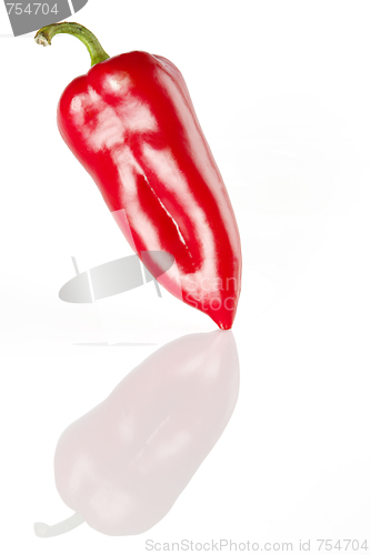 Image of Red pepper on a white background