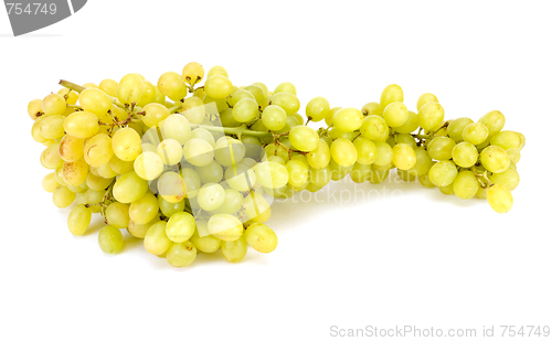 Image of grape