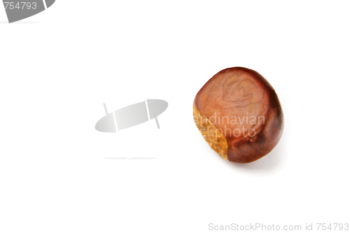 Image of Chestnut on a white background