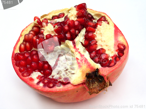 Image of Pomegranate