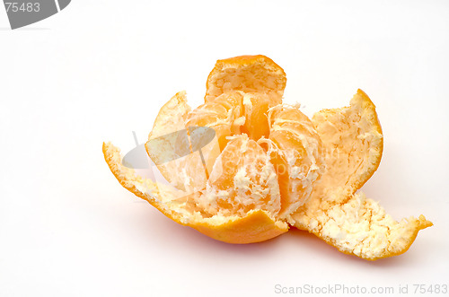 Image of Tangerine