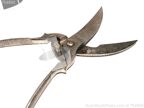 Image of poultry shears,