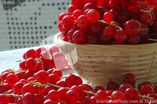 Image of Red currant in a basket