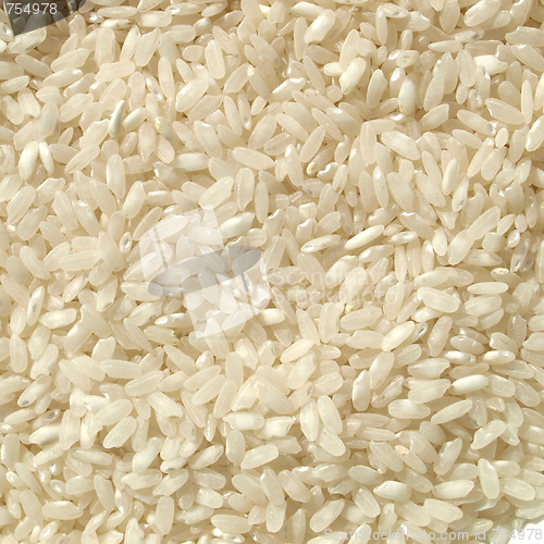 Image of Rice