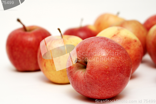 Image of Apples