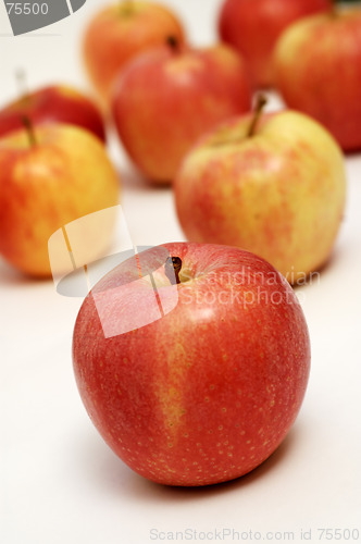 Image of Apples