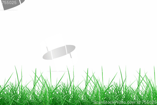 Image of Meadow