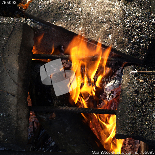 Image of Barbecue